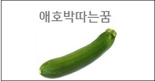 애호박따는꿈