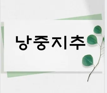 낭중지추 뜻 유래 한자 비슷한 말 예문 영어 속담 반대말_20