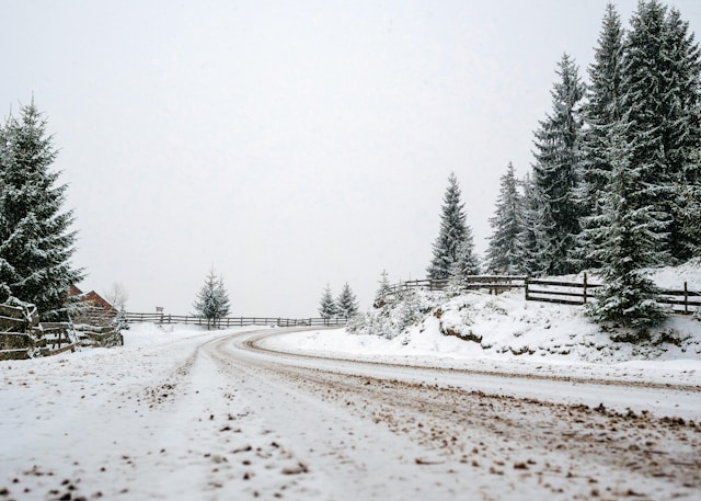 주말 대설 예상 지역 미리 확인하는 필수 가이드