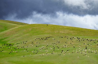 몽골 여행하기 좋은 계절, 준비물, 복장