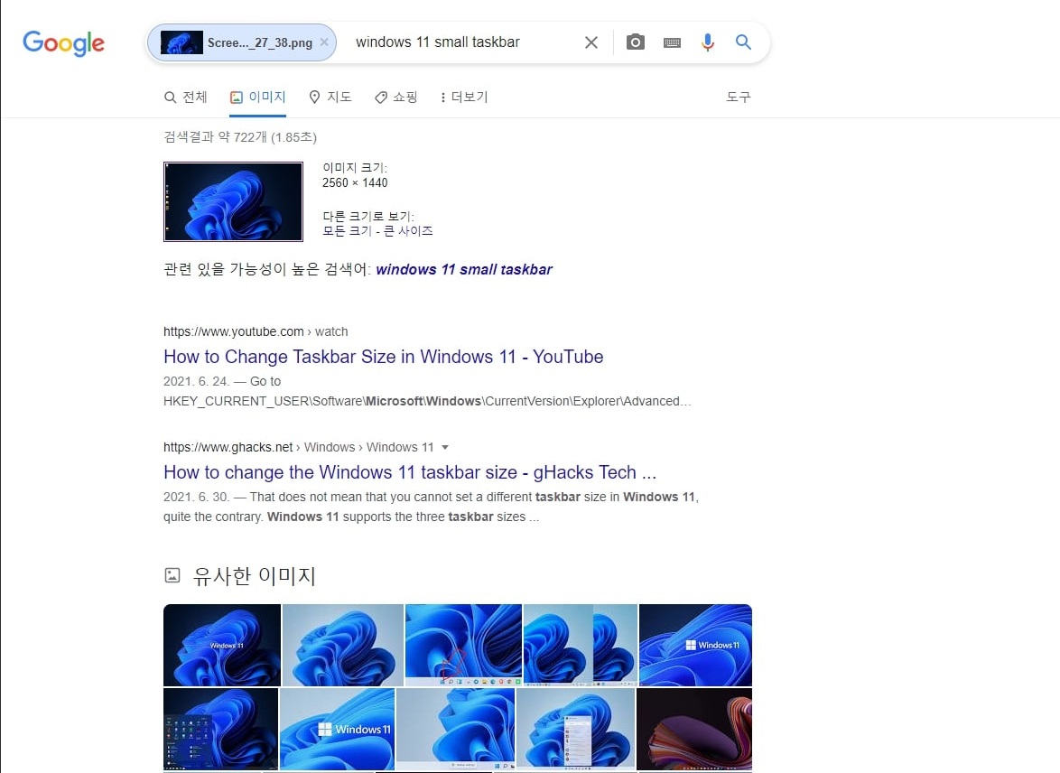 윈도우 11 이미지를 이용한 구글 이미지 검색 결과