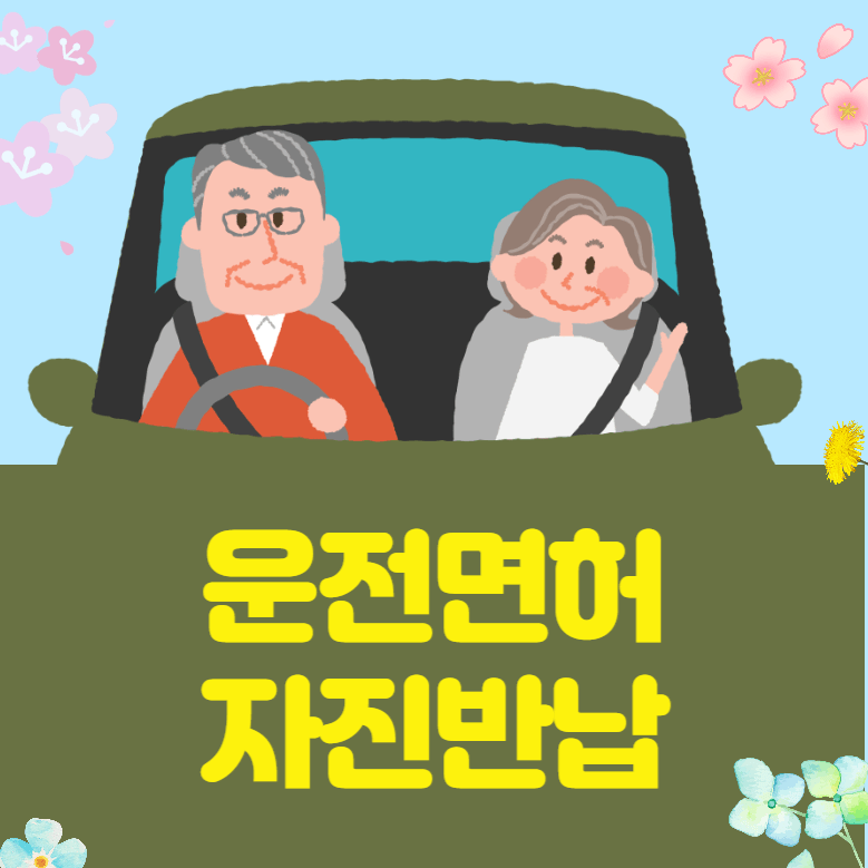 운전면허 자진반납 어르신 교통카드 지원 사업