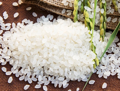 쌀 종류 찹쌀-멥쌀