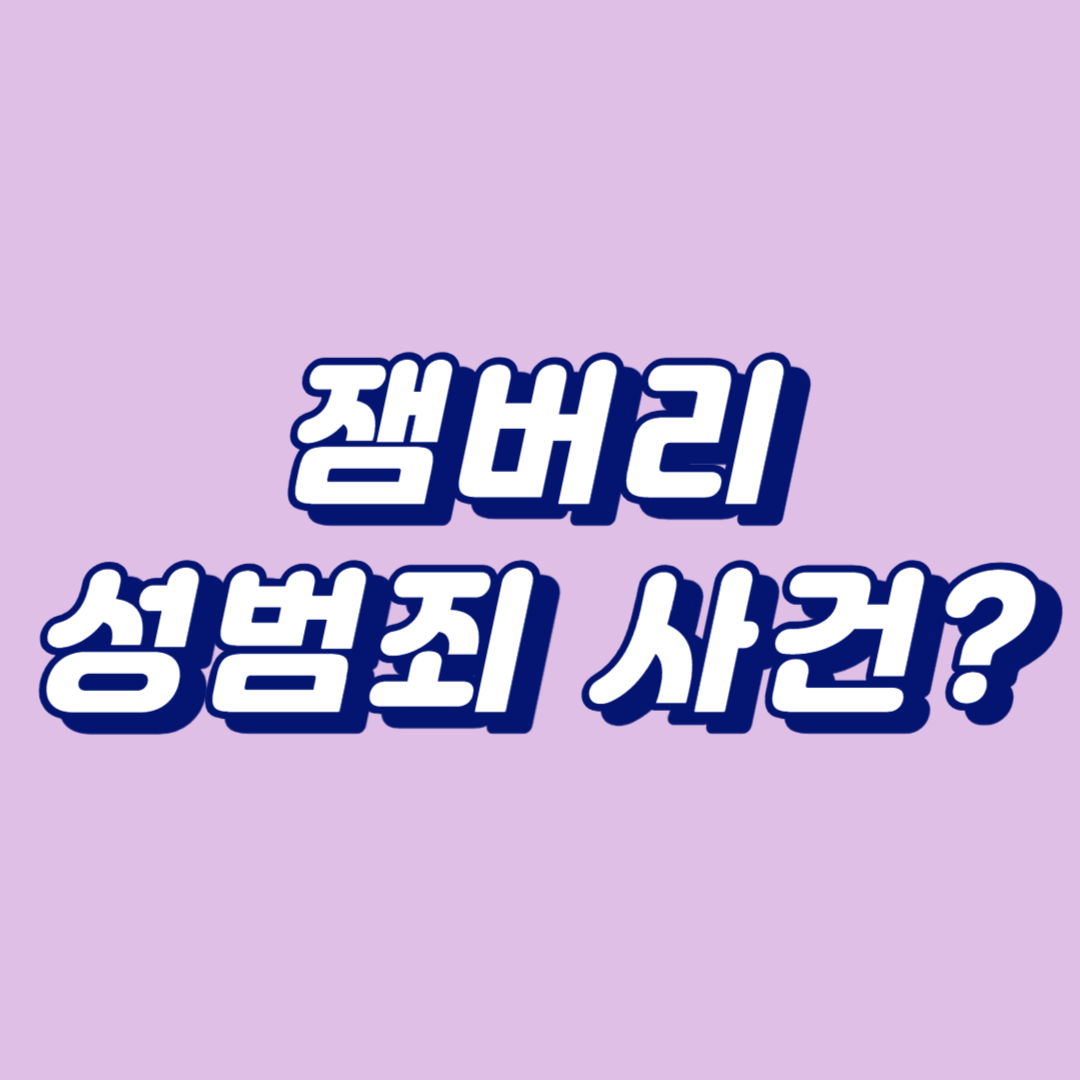 잼버리 성범죄 사건