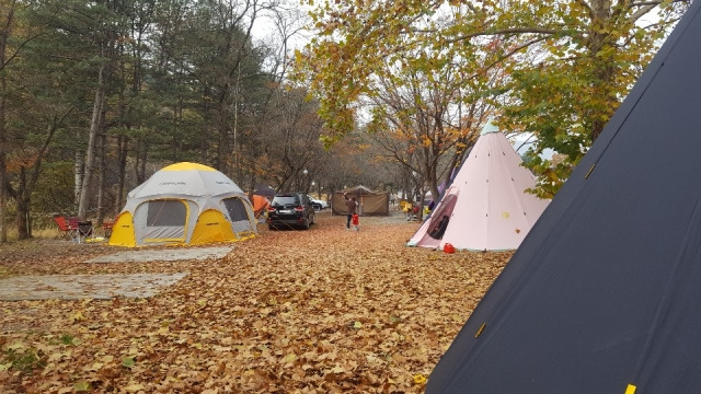 남양주 초대형 캠핑장, '물동네 힐링캠프' 미리보기