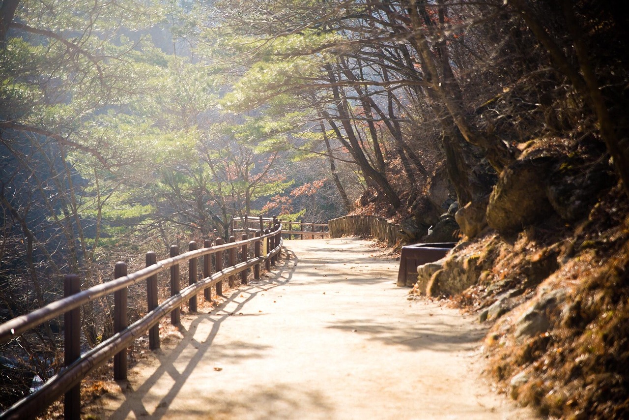 산속 길 사진