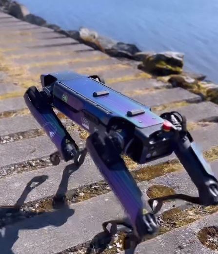 버드 스트라이크 예방조치