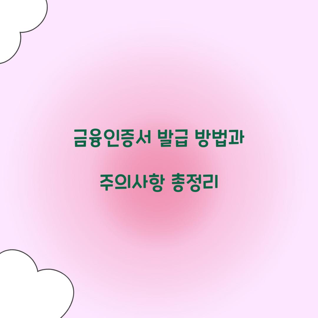 금융인증서 발급 방법