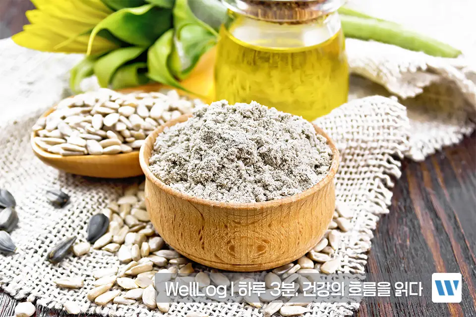 포스파티딜세린 효능 복용법 부작용 하루권장량