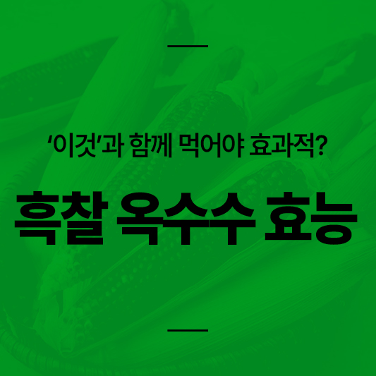 흑찰 옥수수 효능