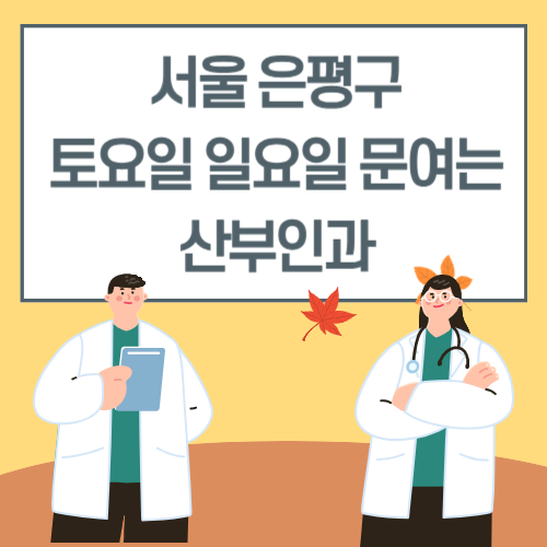 서울 은평구 토요일 일요일 산부인과 진료 병원 리스트