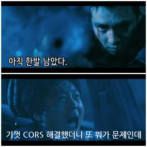 추가적으로 알아야 하는 CORS 사례
