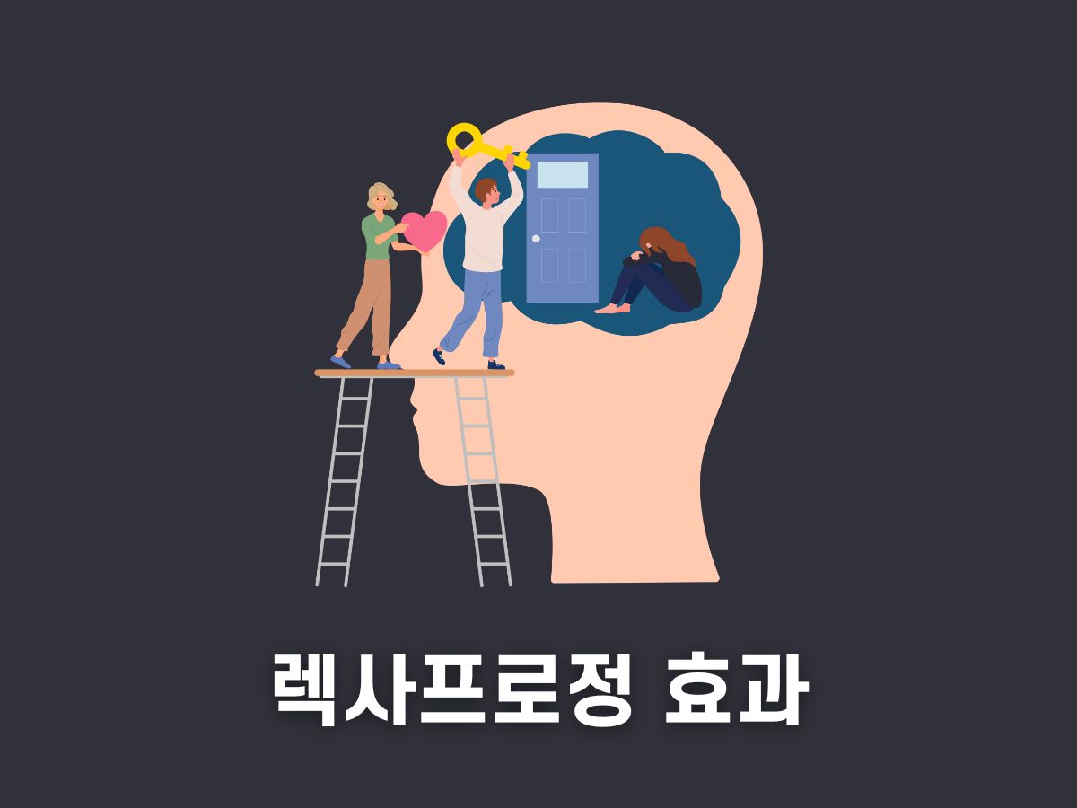 렉사프로정 효과