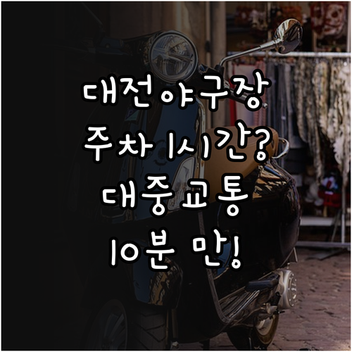 대전 야구장 주차 1시간 대중교통 1..