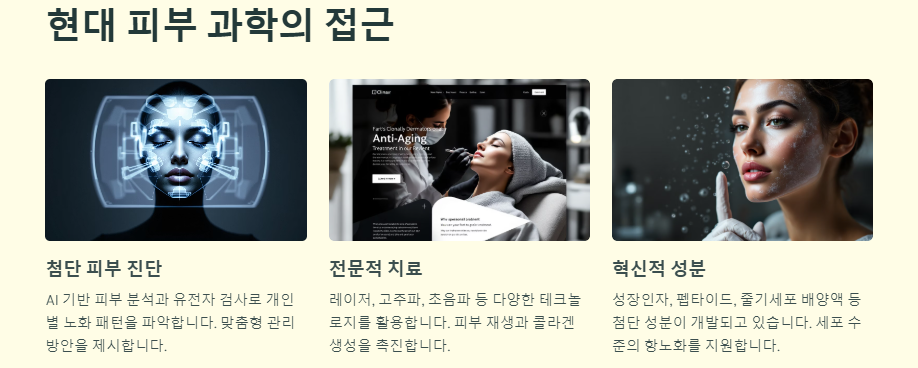피부 노화 원인 및 예방법(방지비법)