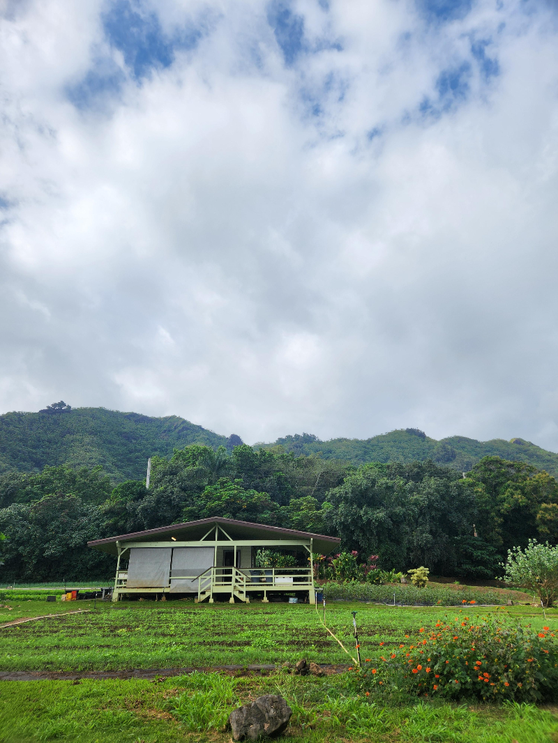 하와이 쿠알로아랜치 그로운 투어 ( 농장 투어 )