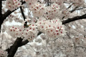 손자병법 작전편 전쟁 국력 역사_15