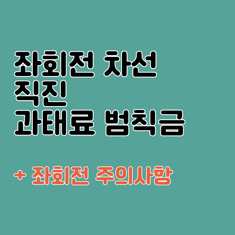 좌회전 차선에서 직진