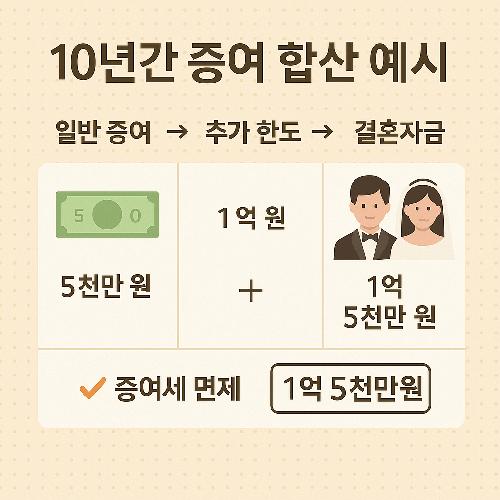 면제 구조 한눈에 보기