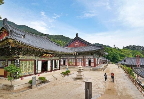 [경남 여행지 추천] 합천 가볼만한 곳 베스트 10 해인사