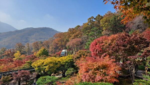 단풍명소_화담숲_모노레일