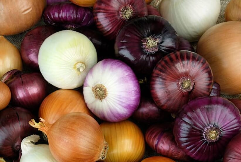 염증이있을때양파