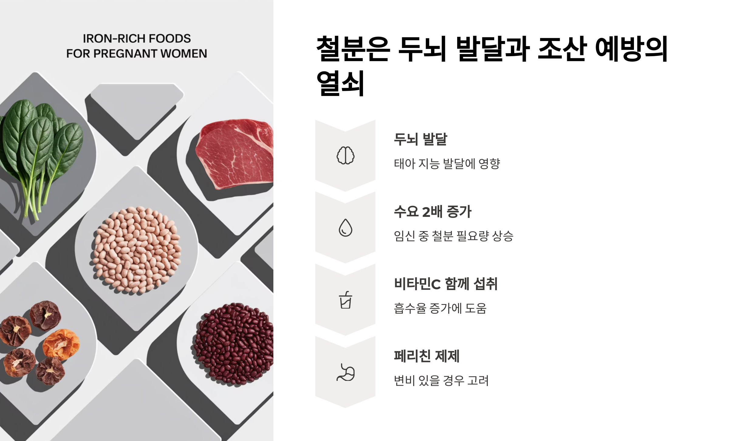 임신 준비 영양소 &ndash; 철분이 두뇌 발달에 미치는 영향