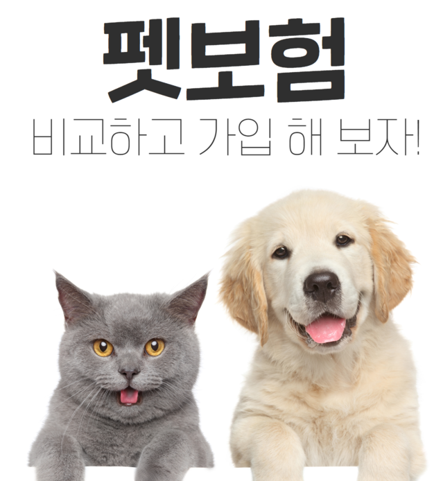 펫 보험 종류