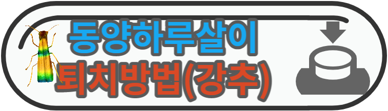 동양하루살이 퇴치방법