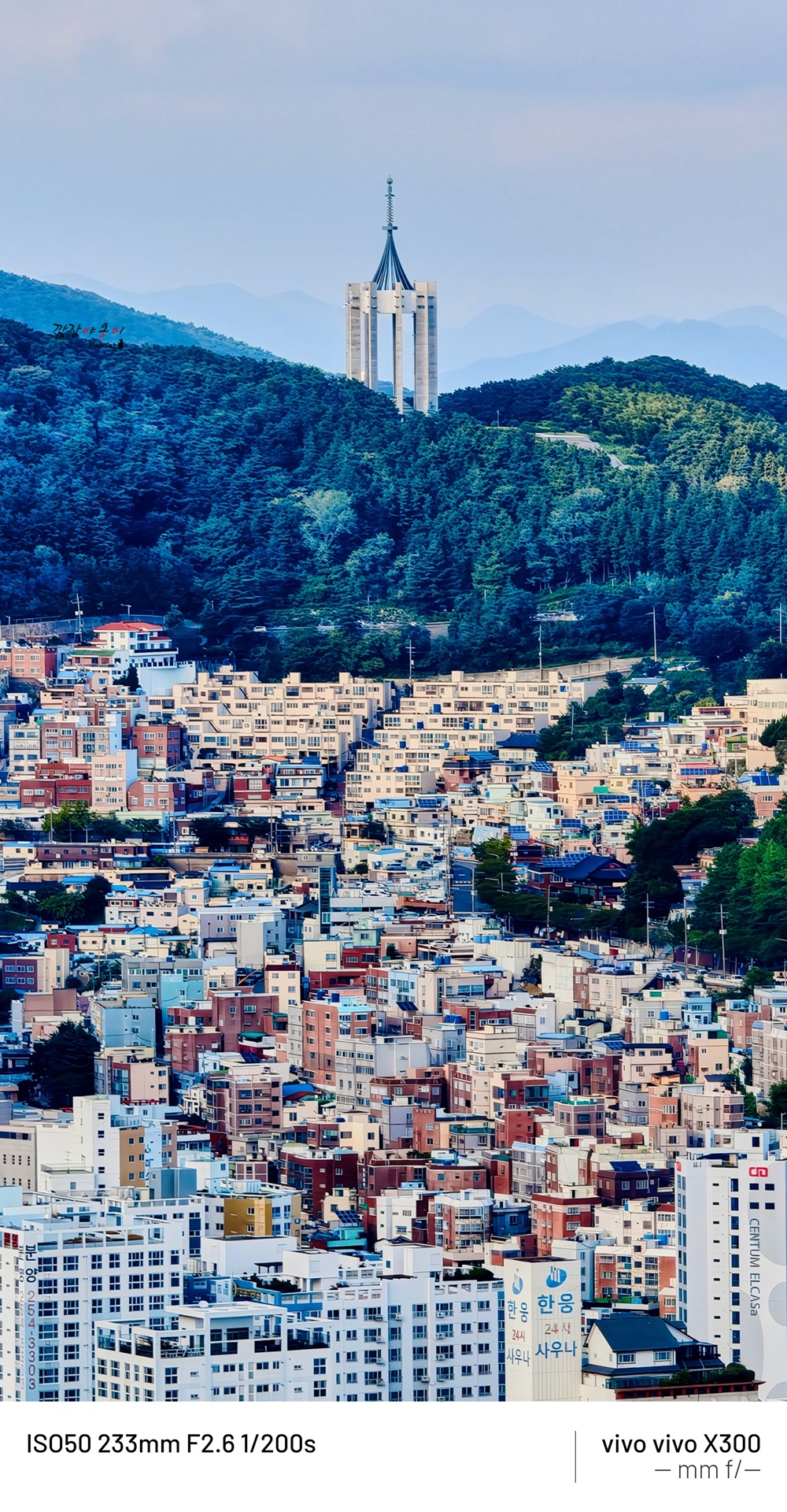 천마산에서 바라본 남포동 부산 원도심 전망