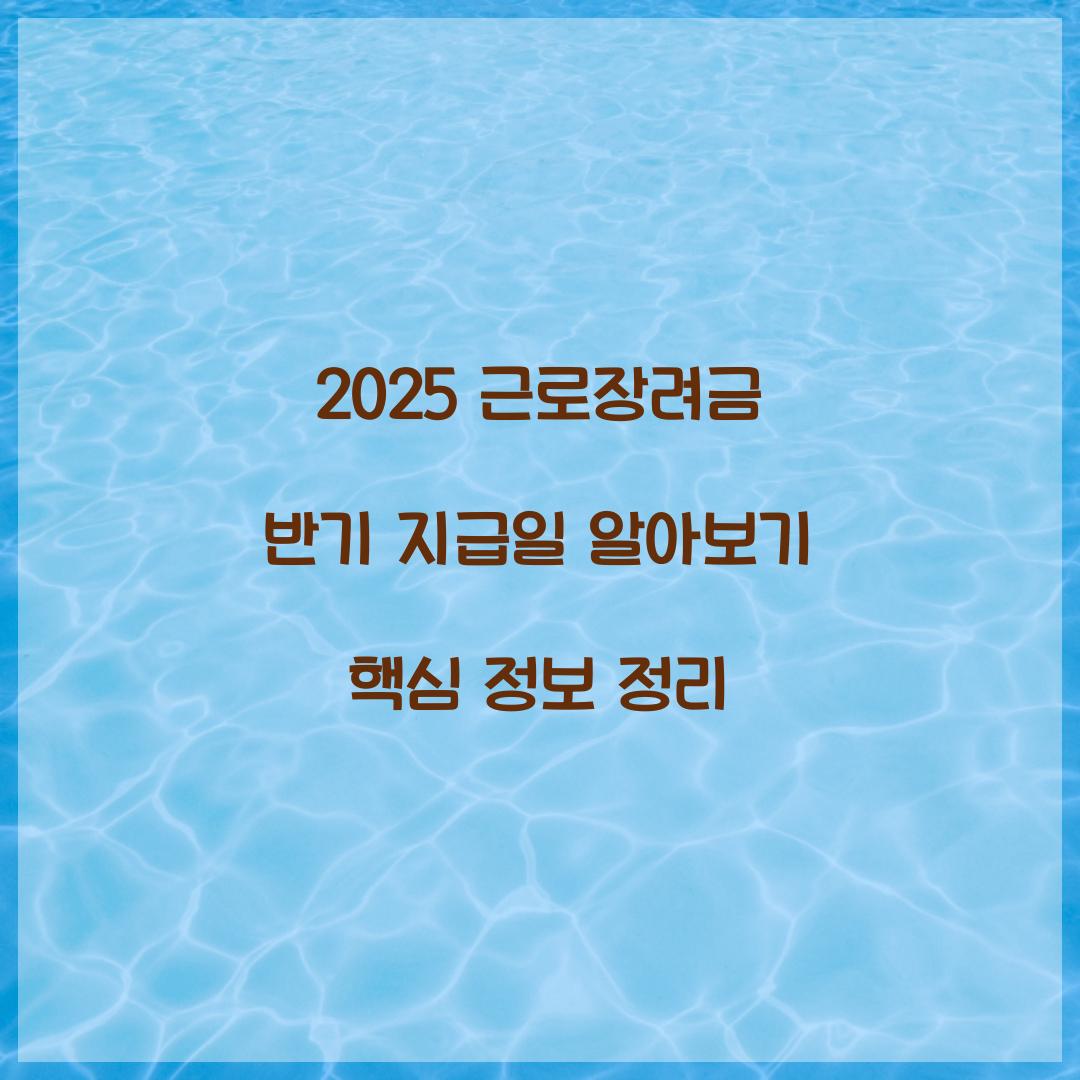 2025 근로장려금 반기 지급일