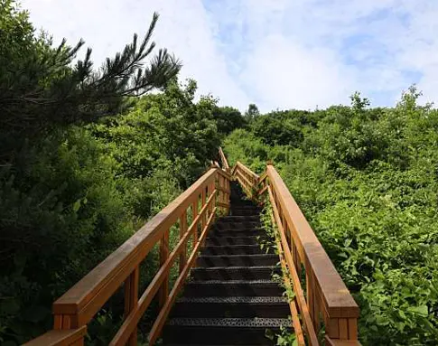 팔공산하늘정원