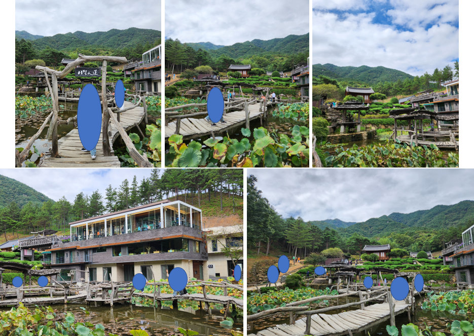 수선사-연꽃-나무-길