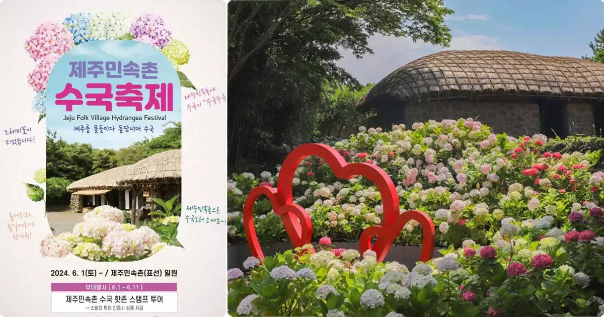 제주민속촌 수국축제