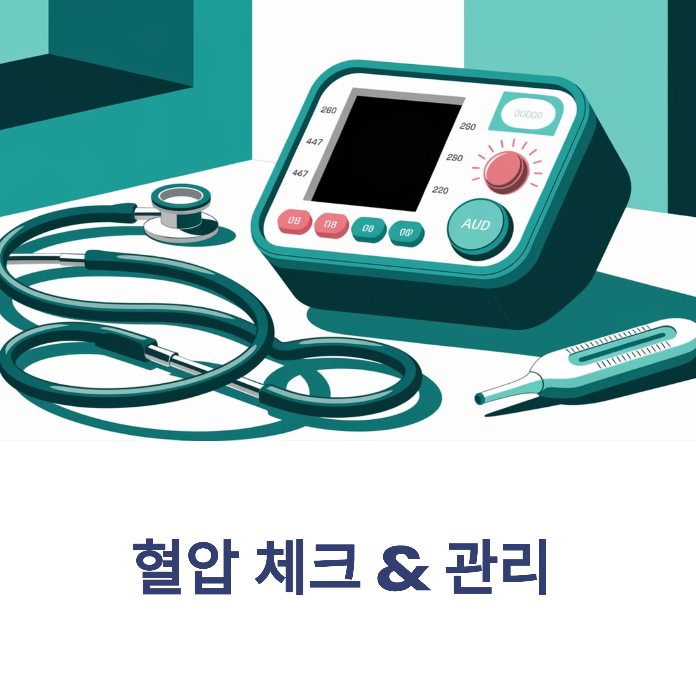 혈압 체크 &amp; 관리 방법