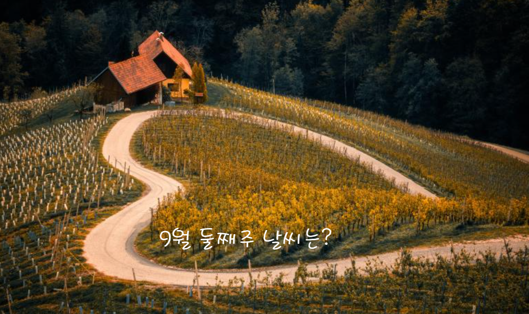 둘째 주 (9월 2일 - 9월 8일)