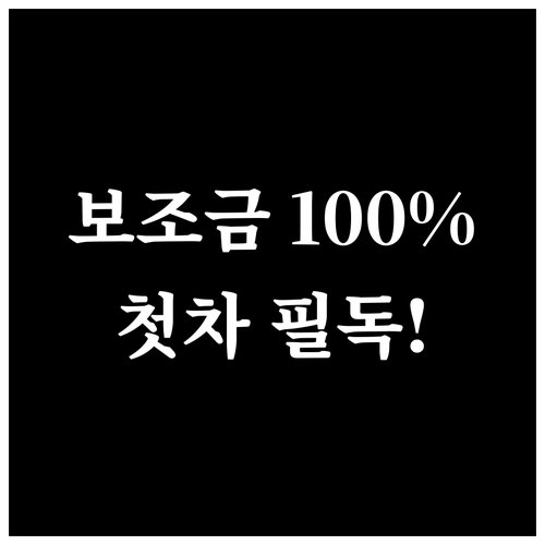 2026년 전기차 보조금 100퍼센트..