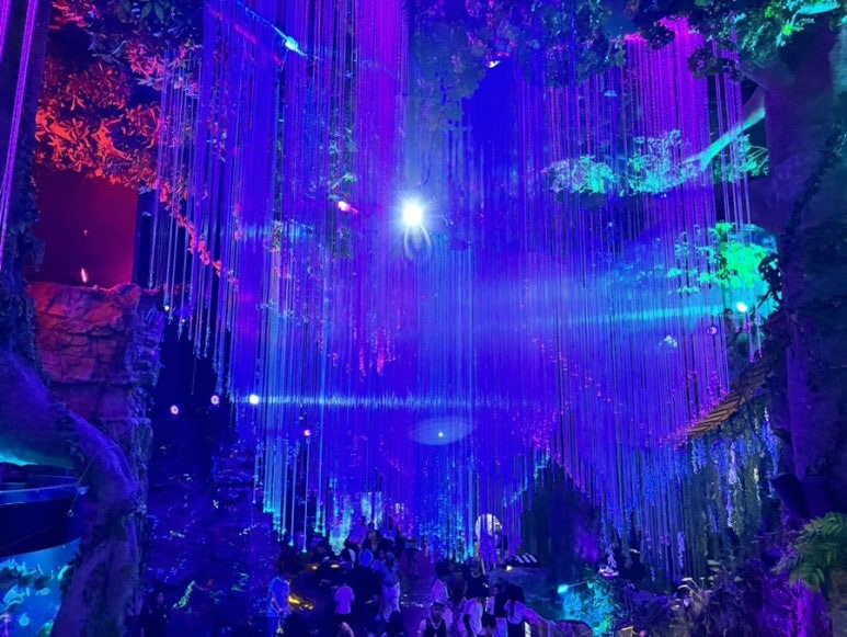 아쿠아플라넷 여수1