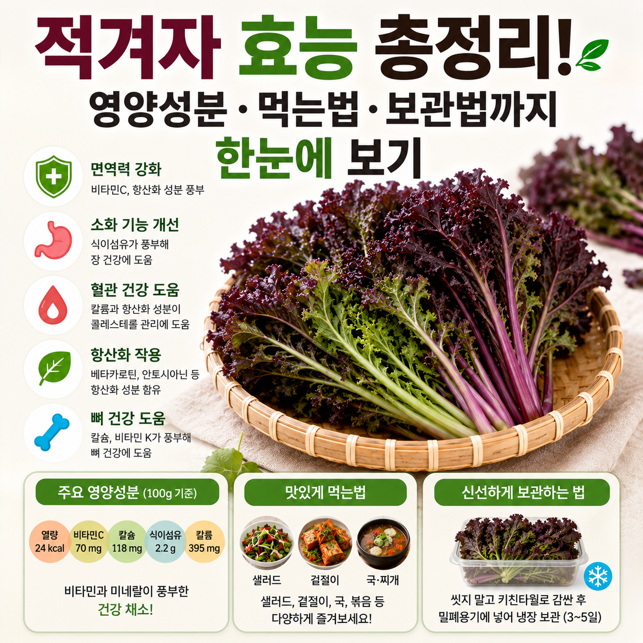 적겨자 효능