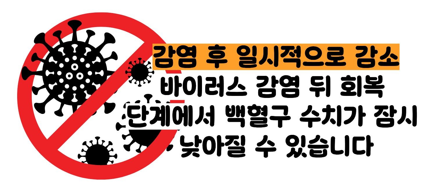 백혈구 수치가 낮은 이유