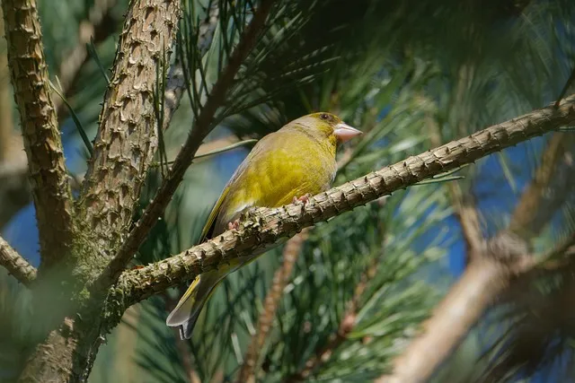 베스킨라빈스31 아이스크림 레슬리 에디션 엄마는 외계인 로어 슈가 신제품 정보_5