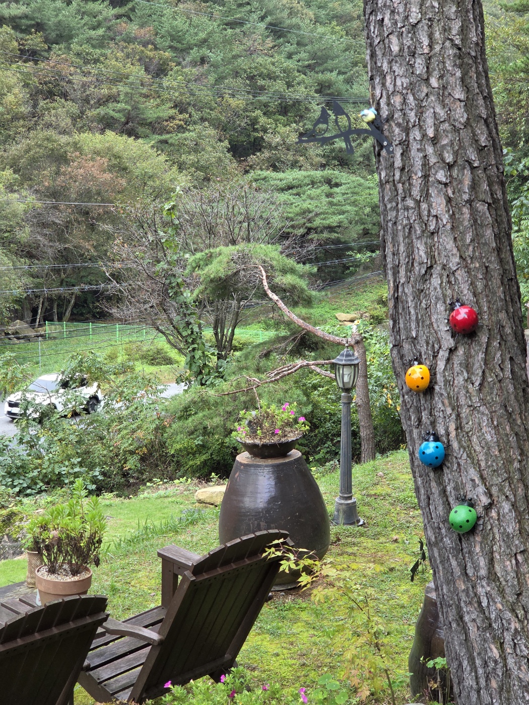 제천 화덕피자 맛집