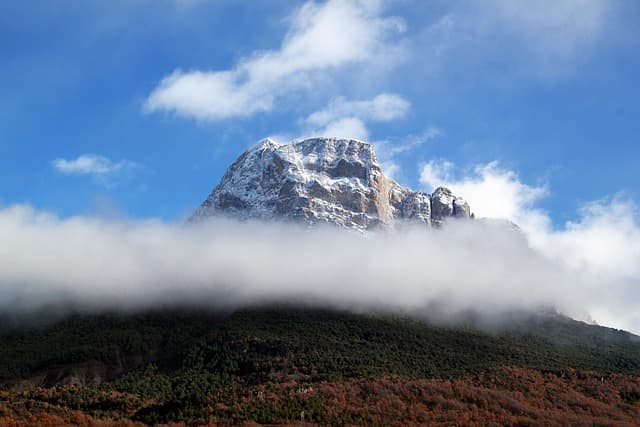 정원 가꾸기가 아토피 피부염에 미치는 긍정적 효과