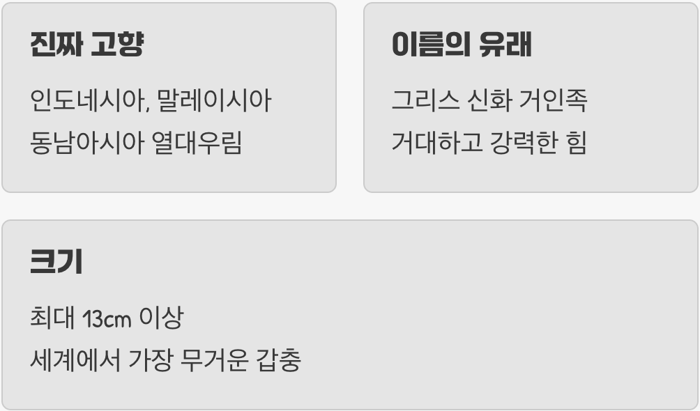 아틀라스산맥이 아닌, 코카서스산맥의 거인