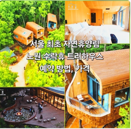 수락휴 트리하우스