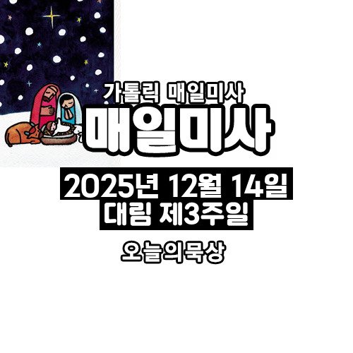 2025년 12월 14일 매일미사 대림 제3주일 오늘의 묵상