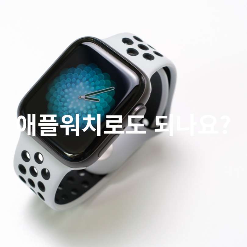 아이폰 애플페이 티머니 사용법 총정리