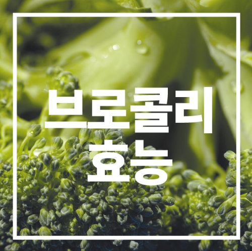 브로콜리 효능