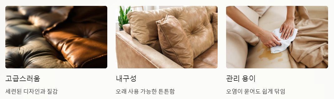 천연가죽 소파베드의 특징 알아보기