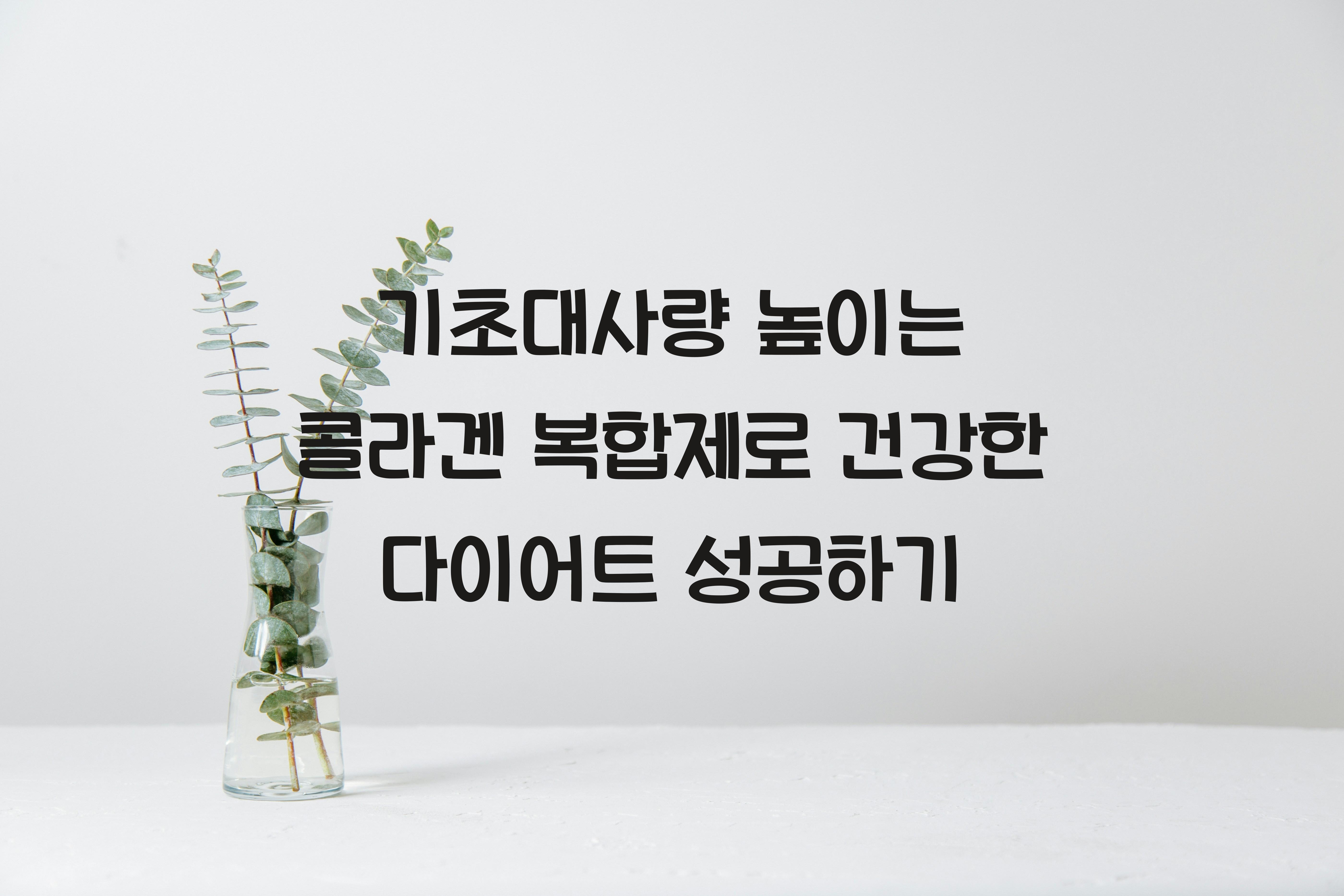 기초대사량 높이는 콜라겐 복합제